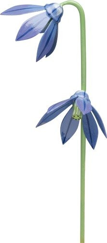 Blaustern für Blumenkind 5248/24 von Wendt & Kühn