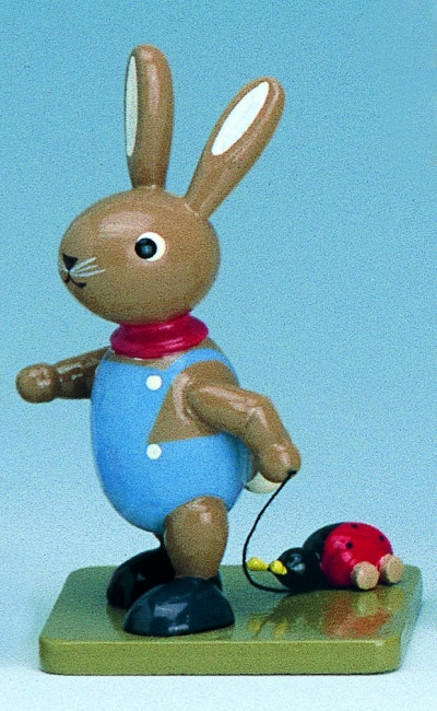 Hasenkind mit Käfer