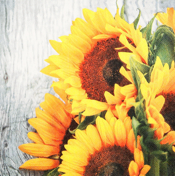Tischservietten Sonneblumen