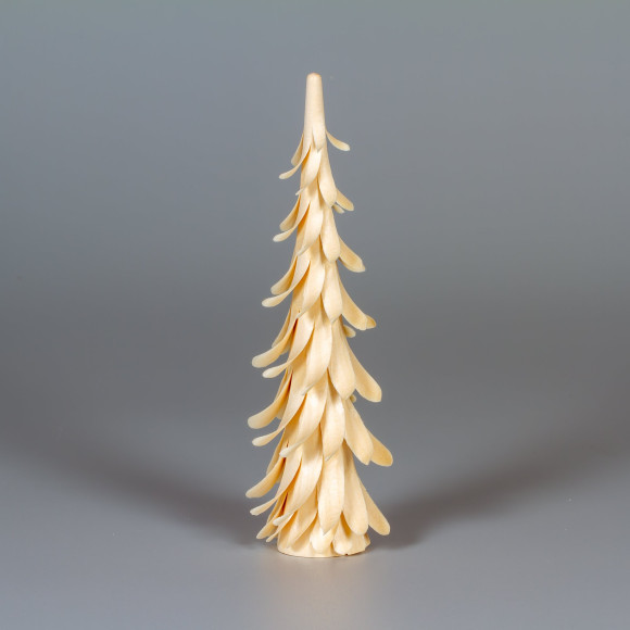 Erzgebirgischer Spanbaum Spiralbaum, 15 cm