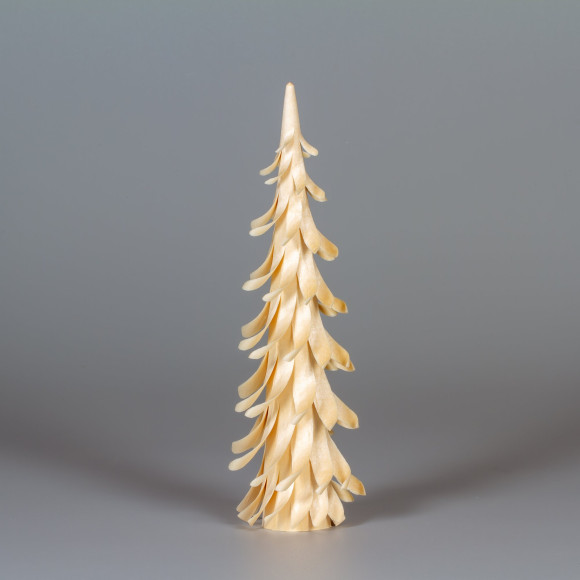 Erzgebirgischer Spanbaum Spiralbaum, 20 cm