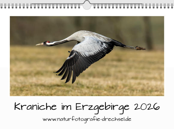 Premium-Fotokalender Kraniche im Erzgebirge 2026 A3