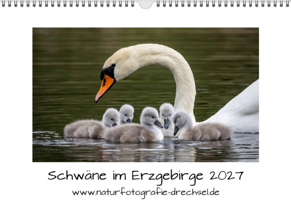 Premium-Fotokalender Schwäne im Erzgebirge 2027 A3