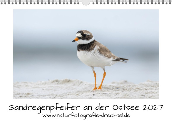 Premium-Fotokalender Sandregenpfeifer an der Ostsee 2027 A3