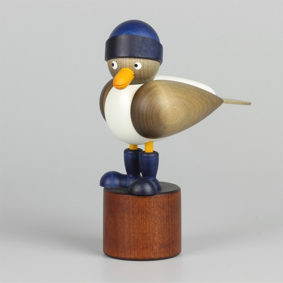 Sturmmöwe grau, blauer Südwester