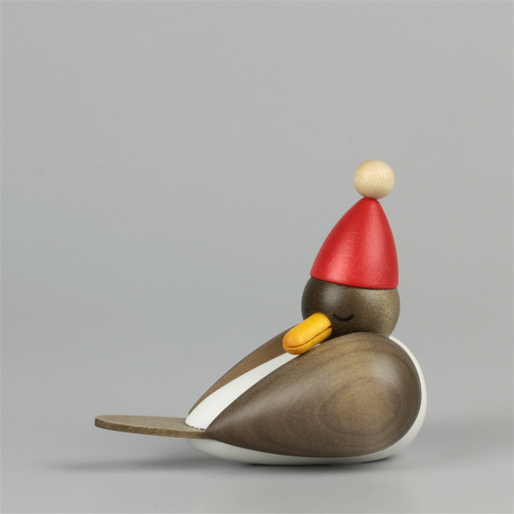 Weihnachtsmöwe schlafend klein grau