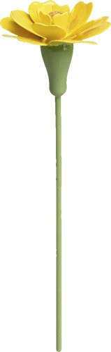 Studentenblume für Blumenkind 5248/31 von Wendt & Kühn