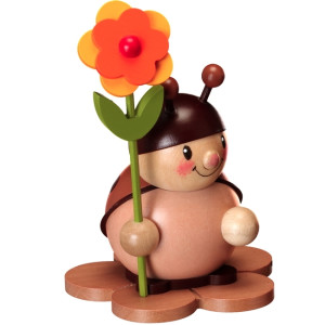 Marienkäfer mit Blüte rechts, natur