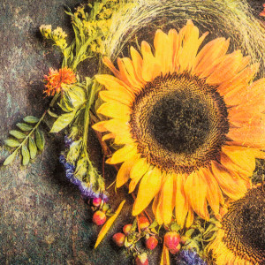 Tischservietten Sonnenblume