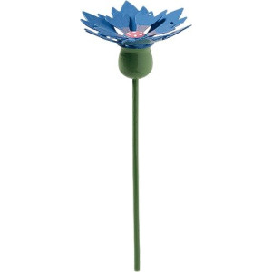 Kornblume für Blumenkind 5248/14 von Wendt & Kühn