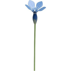 Frühlingsenzian für Blumenkind 5248/30 von Wendt & Kühn