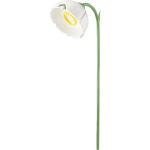 Märzenbecher für Blumenkind 5248/4 von Wendt & Kühn