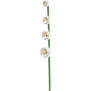 Maiglöckchen für Blumenkind 5248/5 von Wendt & Kühn