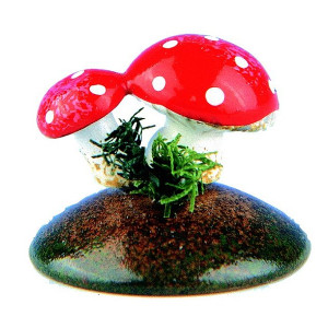 Glückspilze - einzeln