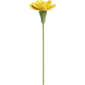 Studentenblume für Blumenkind 5248/31 von Wendt & Kühn