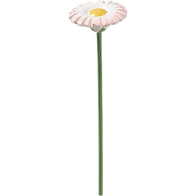 Gänseblümchen für Blumenkind 5248/10 von Wendt & Kühn