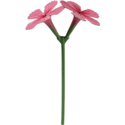 Nelke für Blumenkind 5248/17 von Wendt & Kühn