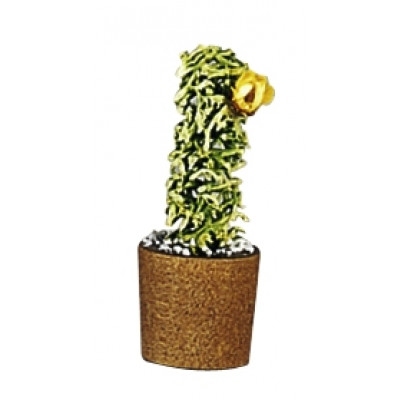 Blumentopf mit Kaktus