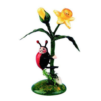 Marienkäfer mit Narzisse - einzeln