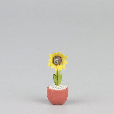 Sonnenblume im Topf