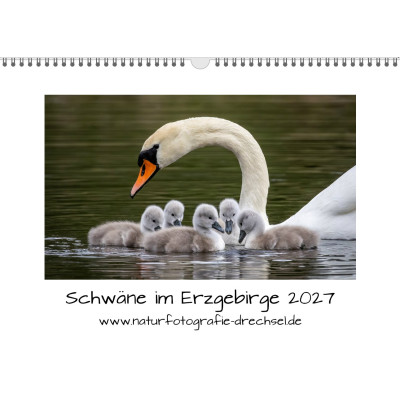 Premium-Fotokalender Schwäne im Erzgebirge 2027 A3
