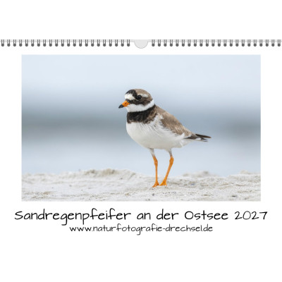Premium-Fotokalender Sandregenpfeifer an der Ostsee 2027 A3