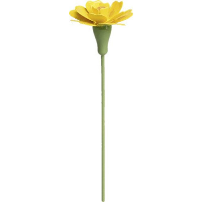 Studentenblume für Blumenkind 5248/31 von Wendt & Kühn