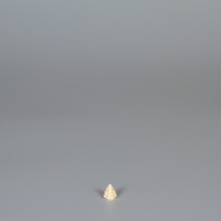 Erzgebirgischer Spanbaum Ringelbaum natur - 1 cm