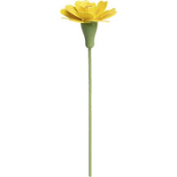 Studentenblume für Blumenkind 5248/31 von Wendt & Kühn